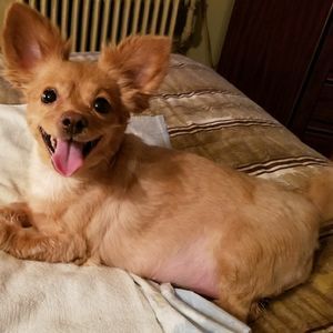 Meet your Posher, Denise